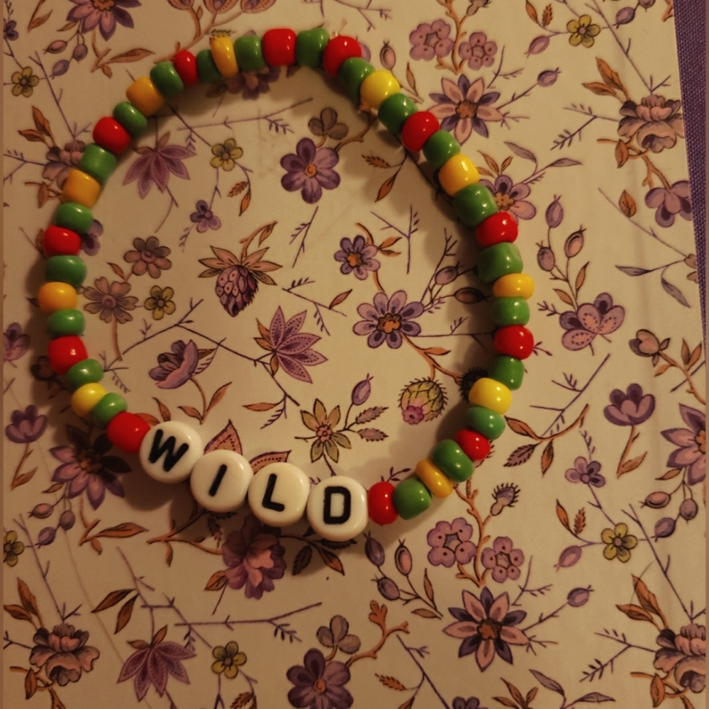 Minnesota Wild Friendship Braclet